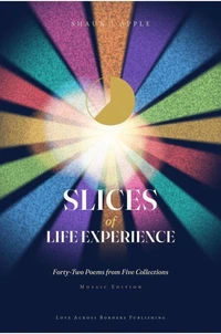 Slices of Life Experience