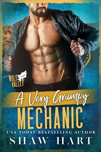 A Very Grumpy Mechanic