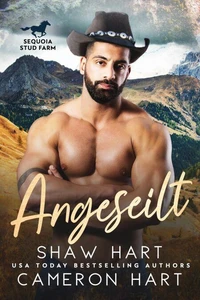 Angeseilt