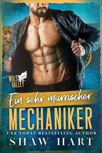 Ein sehr mürrischer Mechaniker