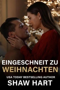 Eingeschneit zu Weihnachten