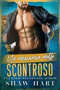Un meccanico decisamente scontroso