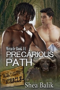  Shea Balik - Precarious Path - Miracle, #14.