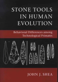 Stone Tools in Human Evolution