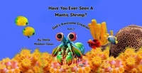 Have You Ever Seen A Mantis Shrimp?