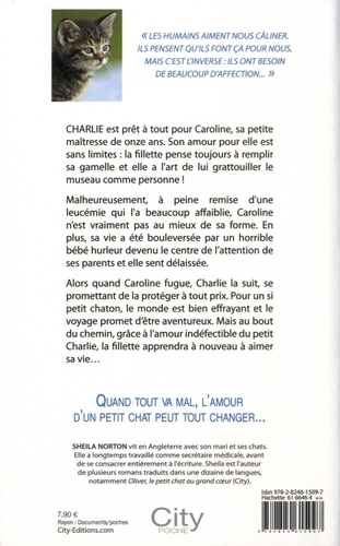 Charlie, un petit chat pour la vie