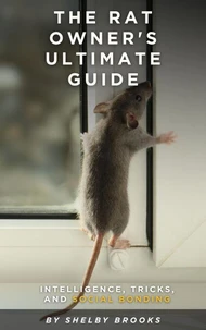 The Rat Owner's Ultimate Guide: Intelligence, Tricks, and Social Bonding