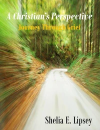 A Christian's Perspective Journey Through Grief