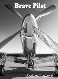 Brave Pilot