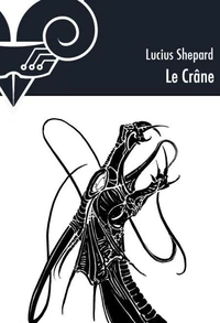 Le crâne