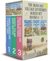 The Bliss Bay Village Mysteries Boxed Set Books 1 - 3