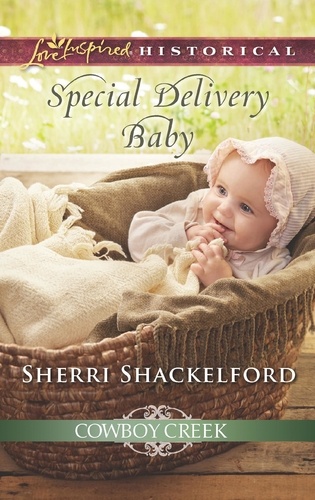 Sherri Shackelford - Special Delivery Baby.