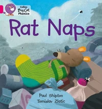 Rat Naps