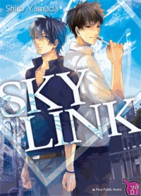 Shiro Yamada - Sky Link.
