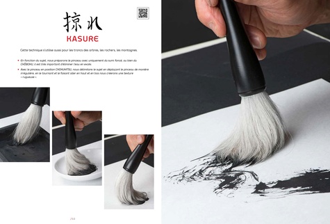 Sumi-e. L'art japonais de la peinture à l'encre  édition revue et augmentée