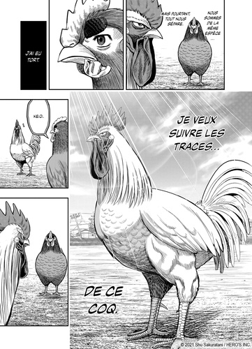 Rooster Fighter - Coq de Baston Tome 3