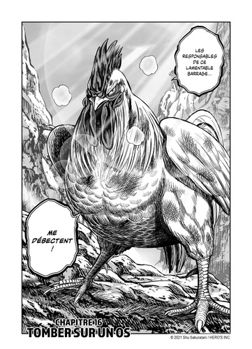 Rooster Fighter - Coq de Baston Tome 4