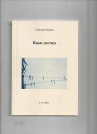 Rase-mottes