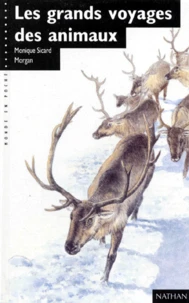 Les Grands Voyages Des Animaux