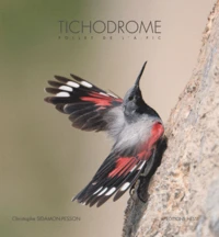 Tichodrome Follet de l'à-pic