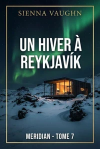Un hiver à Reykjavík