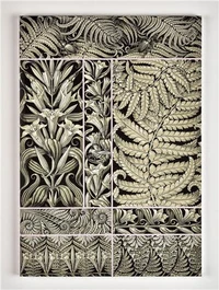 Fantaisies & ornements d'Anton Seder