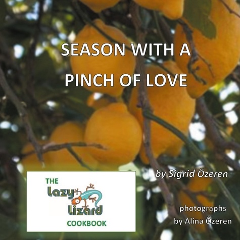 Season With A Pinch Of Love. The Lazy Lizard Cook Book