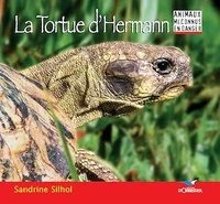 La Tortue d'Hermann