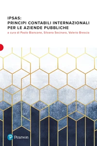IPSAS: Principi contabili internazionali per le aziende pubbliche
