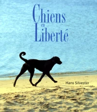 Chiens en liberté