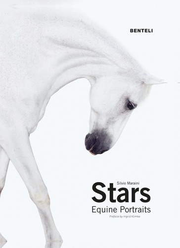 Silvio Maraini - Stars - Equine Portraits.