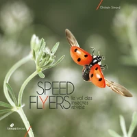 Speed flyers