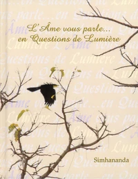L'Ame vous parle... en questions de lumière