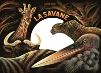 La savane, une nuit...