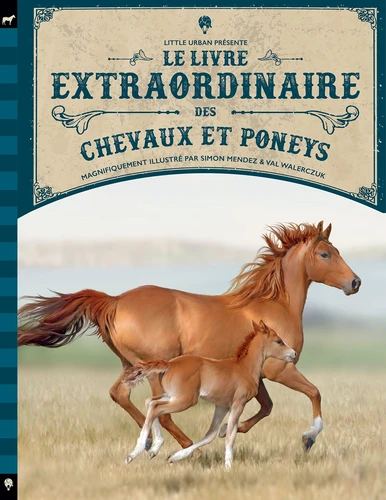<a href="/node/87874">Le livre extraordinaire des chevaux et poneys</a>