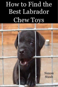 How to Find the Best Labrador Chew Toys