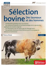 Sélection bovine