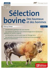 Sélection bovine