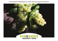 Vins Savoie
