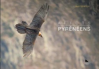 Affût Pyrénéen