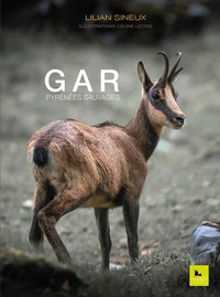 Gar