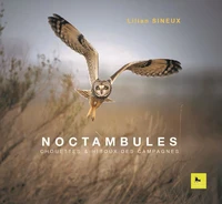 Noctambules