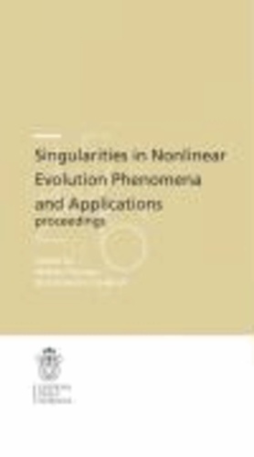 Matteo Novaga - Singularities in nonlinear evolution phenomena and applications.