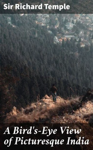 A Bird's-Eye View of Picturesque India