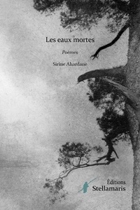 Sirine Ahardane - Les eaux mortes.