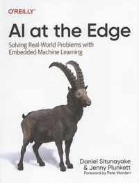 AI at the Edge