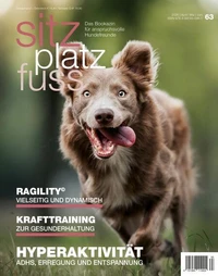 SitzPlatzFuss 63