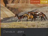 Chevaux 2011