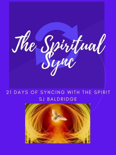  SJ Baldridge - The Spiritual Sync.