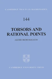 Torsors And Rational Points